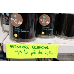 Peinture alkyde blanche 0.5L