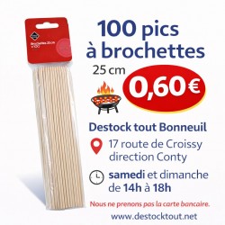 100 pics à brochettes