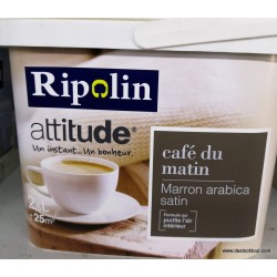 Peinture Ripolin marron...
